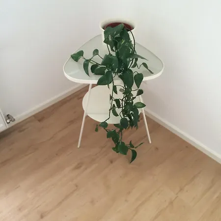 Apartment Ruhrtalblick
