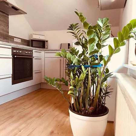 Ruhrtalblick Apartment Meschede