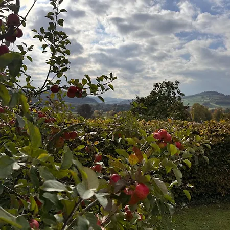 Appartement Ruhrtalblick - Auszeit Mit Ausblick