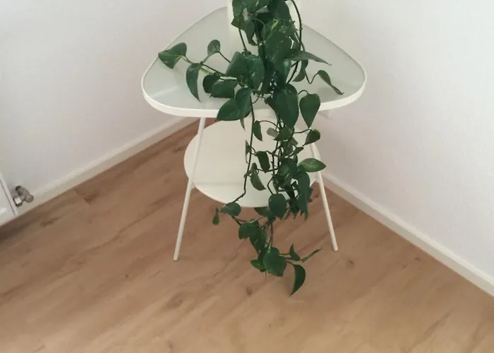 Appartement Ruhrtalblick - Auszeit Mit Ausblick