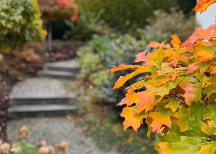 Appartement Ruhrtalblick - Auszeit Mit Ausblick *