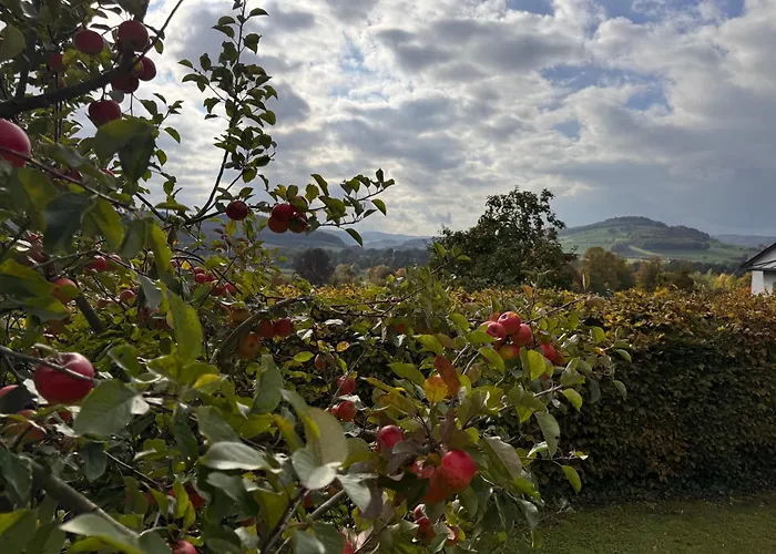 Appartement Ruhrtalblick - Auszeit Mit Ausblick